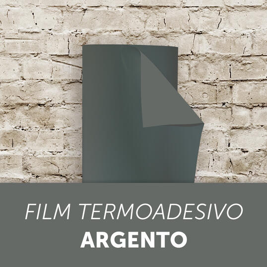 677250 538x538 0751 film argento