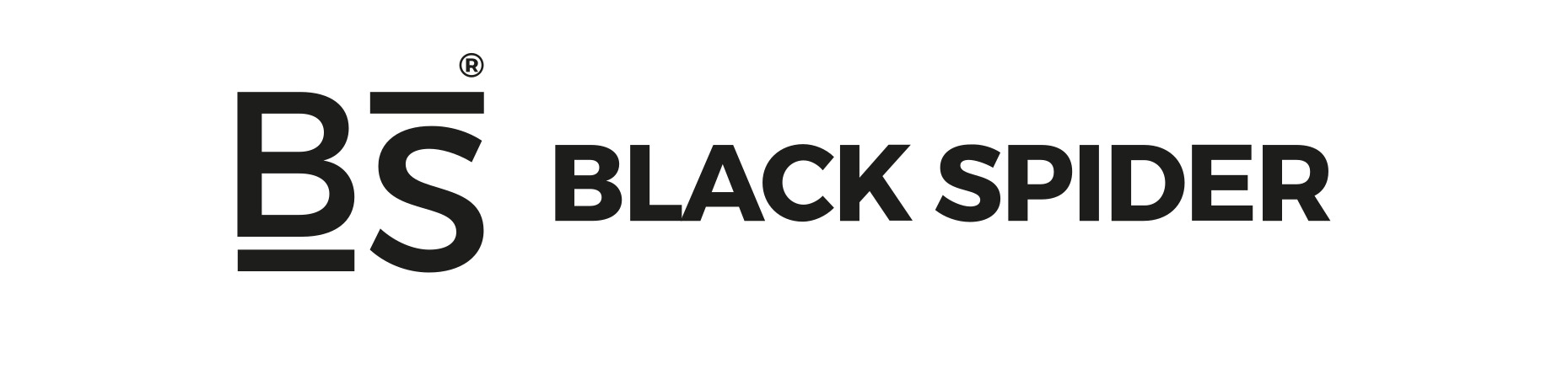 BS Black Spider